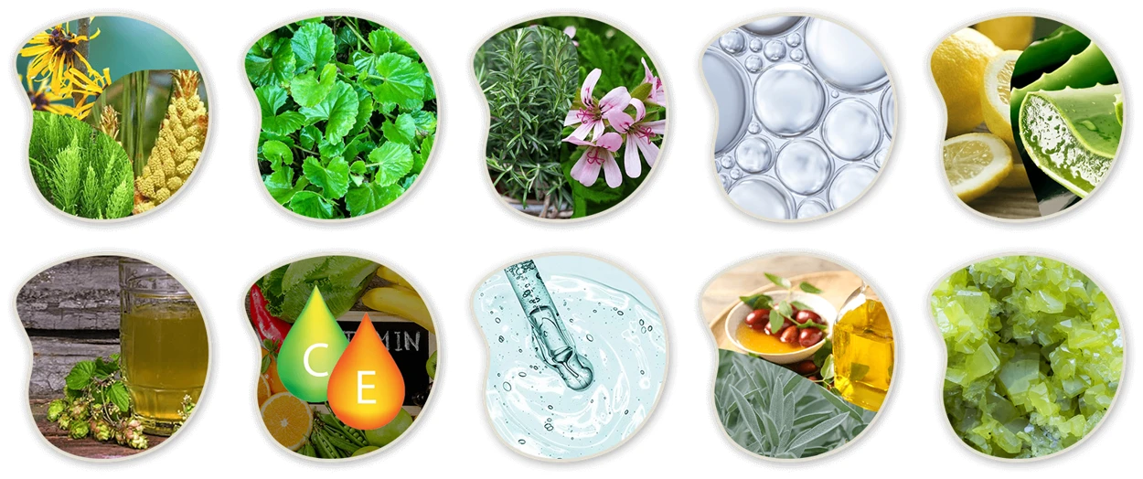 Metanail ingredients
